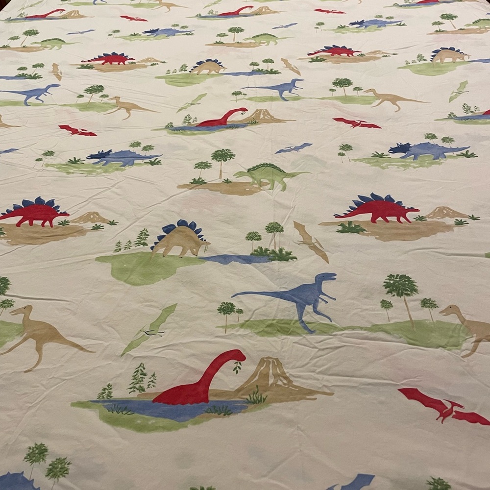 Pottery Barn Kids full Dino duvet, twin Circo Dino sheet…Dino pillowcase! Fun!!
